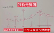 2025年生猪价格现状及走势分析，行情何时能好转？