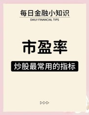市盈率与公司价值：深度解析盈余质量，实证检验A股市场表现