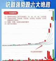 短线高手炼成记：3大核心逻辑解析，5大实战技巧揭秘