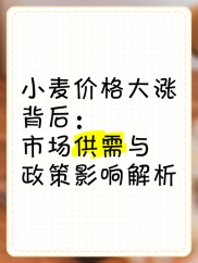 小麦期货投资分析：行情、影响因素及上市意义全解析