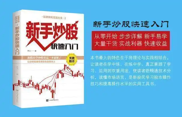 风险管理_股市投资技巧_炒股就是炒趋势:民间股神高竹楼趋势看盘绝技 pdf