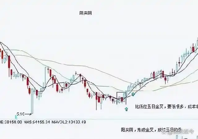 散户炒股需要注意什么_散户要怎么样炒股_散户炒股票赚得到钱吗
