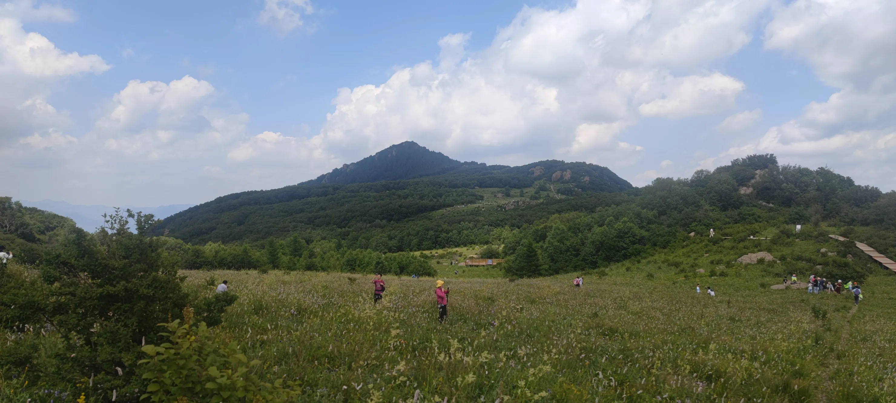 广告赚钱模式_付费专栏内容_新媒体会员制度