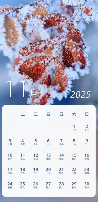 期货春节放假安排2025_2025全年放假调休时间_2025年春节放假安排
