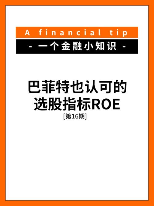a股分红率_中国股市ROE选股策略_巴菲特ROE指标在中国股市