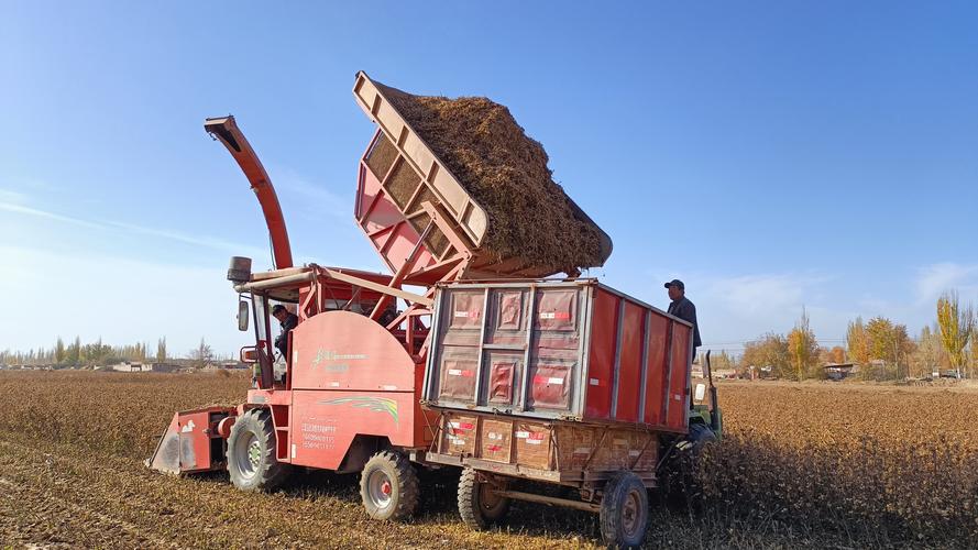 农民怎么创业致富_农民创业赚钱_农民创业做什么好