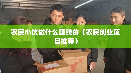 农民小伙做什么赚钱的（农民创业项目推荐）