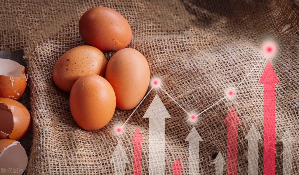 油价跌不动 成品油价格调整 国际油价上涨_猪价涨不动 全线回落 西南部分地区跌回7元_今日全国鸡蛋价格最新行情走势