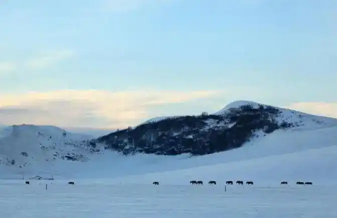 短线交易技巧_短线炒股技巧_投资心态与执行力