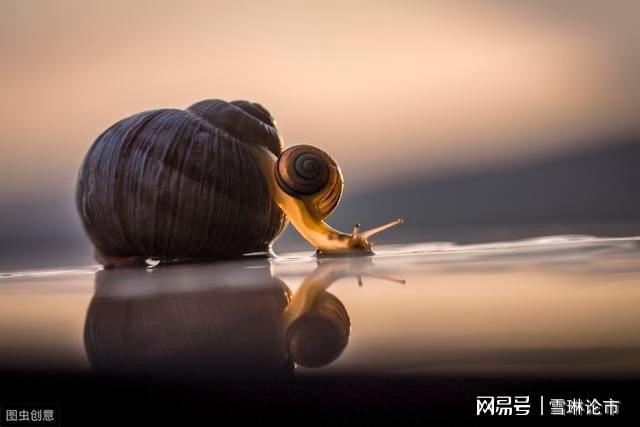 炒股就是炒心态 pdf_信心市场研判交易策略_投资耐心静心修炼