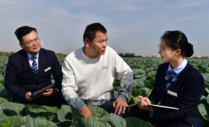 中国邮政储蓄银行临夏州分行_邮储银行极速贷养殖户贷款_养殖业贷款怎么申请的
