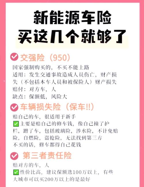 新能源汽车保险预算有限购买方案_贷款的车第二年车险如何买_200万三者险搭配交强险
