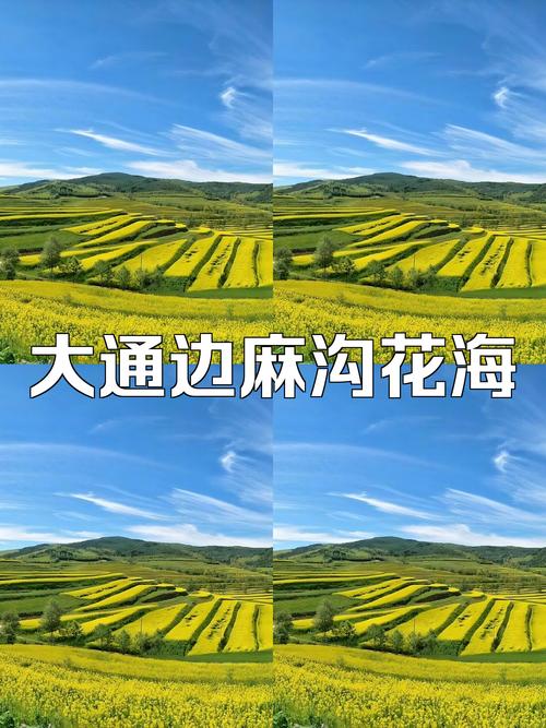 青海大通县脱贫攻坚政策_大通回族土族自治县精准扶贫_金融扶贫530贷款是指