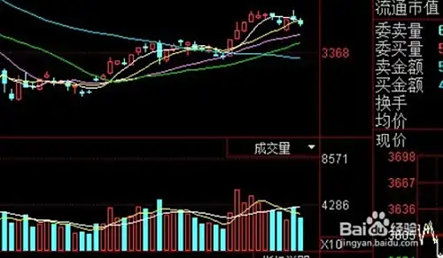 股票市场的股民如何参与网络投票