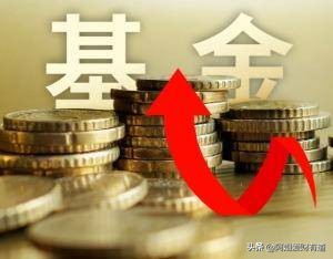 家庭财务体检_理财家庭信息调查表_家庭基金配置