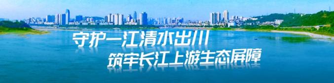 四川生源地贷款申请表_江阳区生源地信用助学贷款额度标准_江阳区生源地信用助学贷款申请条件