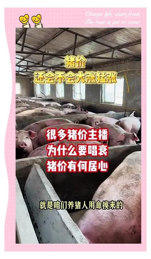 能繁母猪存栏量产能调控_国庆节后猪价走势_养猪行情怎么样