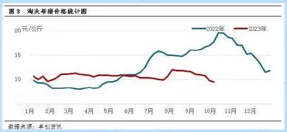仔猪价格与育肥盈利分析_四季度生猪市场行情趋势_养猪行情怎么样