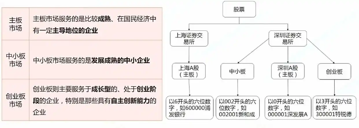 抄股票基础知识动画讲解_炒股票基础知识_抄股票基础知识l