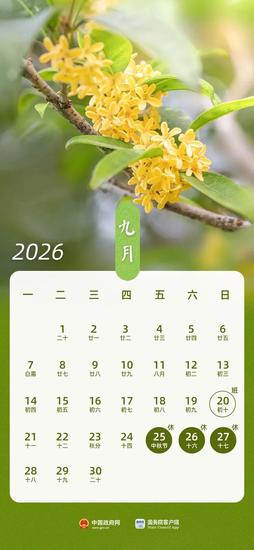 2026年放假安排表_2026年节假日安排_2026期货清明节放假