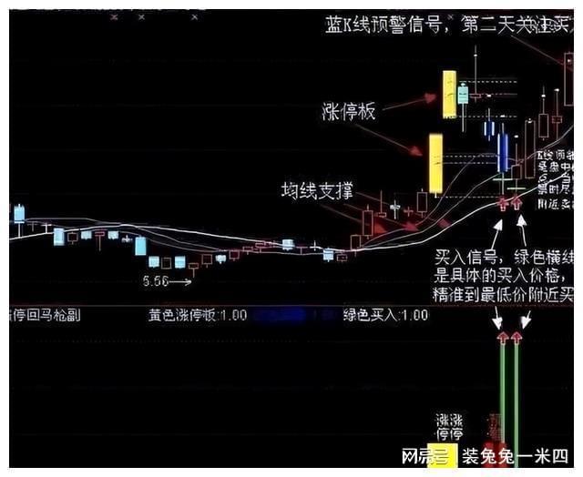 职业股民炒股心得_股市人性弱点分析_炒股一招先 陈浩