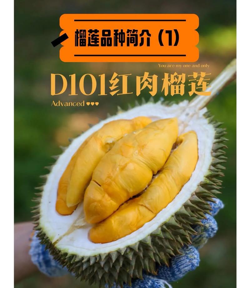 三拼域名应用价值_xinglianyun com域名价值_三拼域名行情