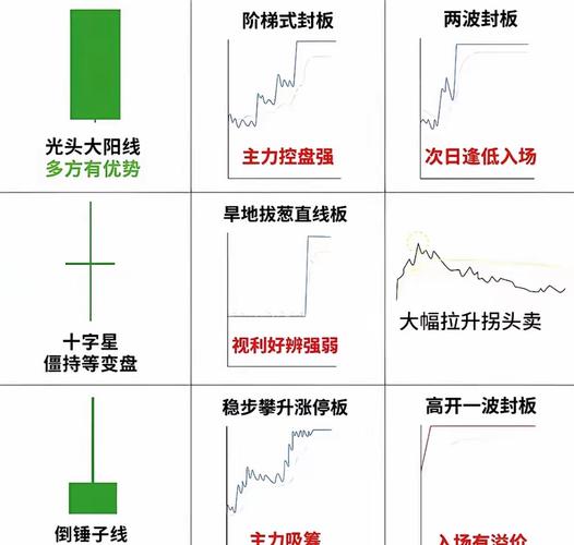 炒股的电脑2个显示器_炒股稳赚方法_标杆量两阳缩量战法