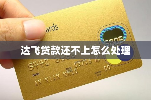 达飞贷款还不上怎么处理