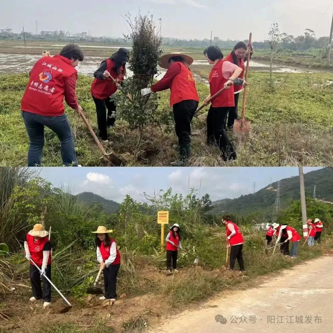 图源：江城发布