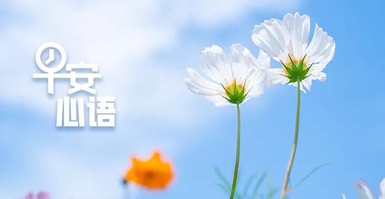 阳江贷款_广东阳江雷雨天气_广东阳江春季融资对接会