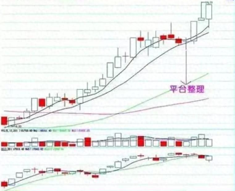 散户心法纪律_炒股的纪律 pdf_炒股大赛冠军退役赠言