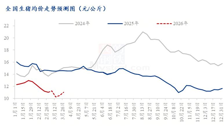 生猪产能去化周期_2026年生猪行情_鸡蛋市场行情分析