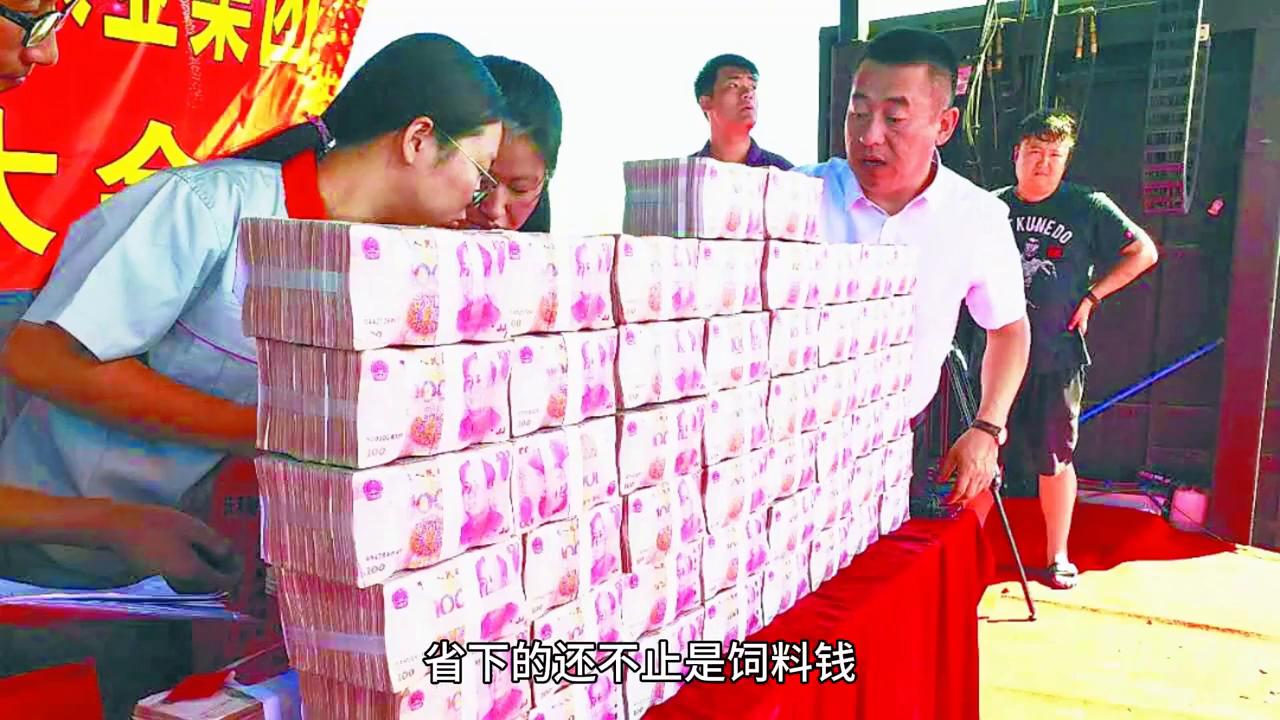 科学搭配野草喂鸡_农村做什么生意赚钱 养殖土鸡_养鸡野草饲料省钱