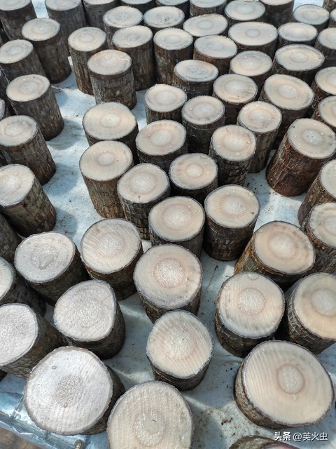 农村颗粒燃料加工_农村做什么生意赚钱 养殖土鸡_农村一次性餐筷加工