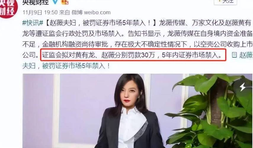 赵薇股权冻结 合宝文娱集团 赵薇商业帝国崩塌_赵薇马云炒股